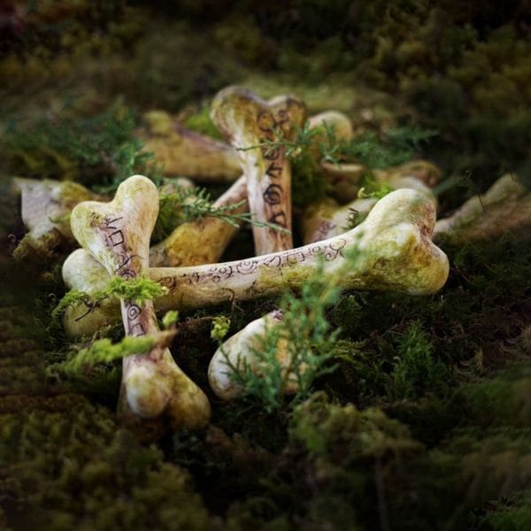 Wicked Bones