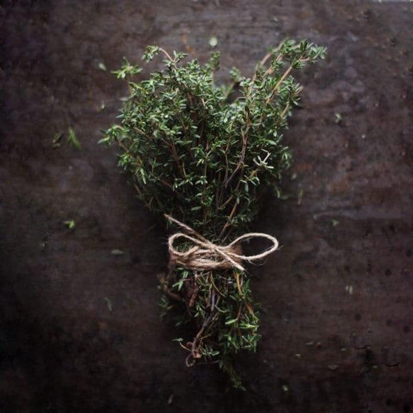 Thyme of Valor