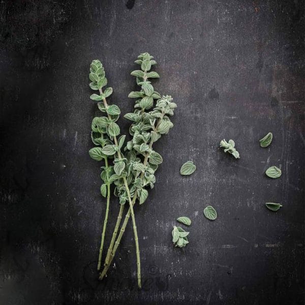 Love-Nettle